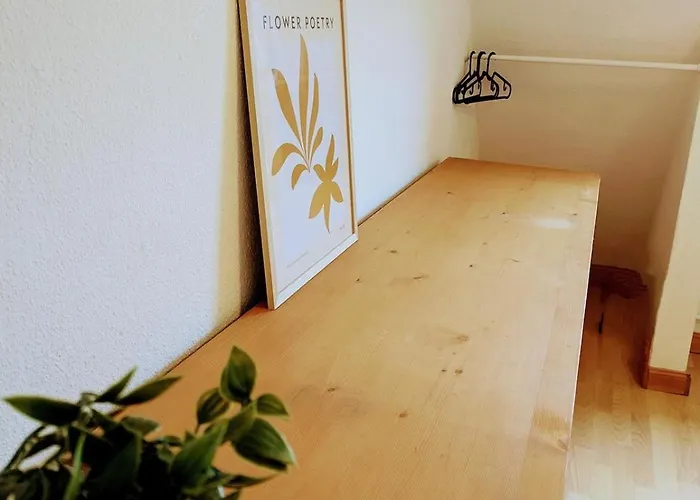 Hoehnerstuebche Appartement